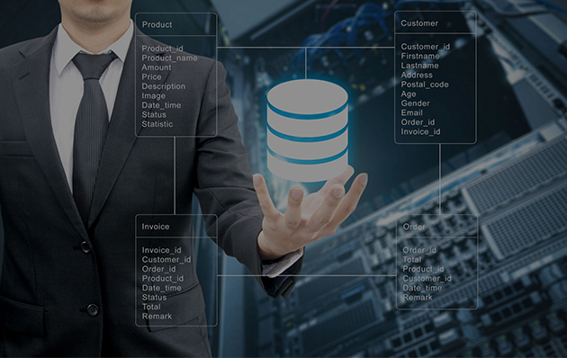 Database Management Services